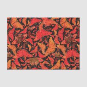 Papier Mousseline Papillons d'automne de Flutterby sur le noir