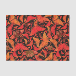 Papier Mousseline Papillons d'automne de Flutterby sur le noir