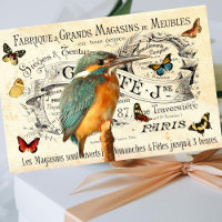 Papillons Kingfisher vintage France Annonce Découp