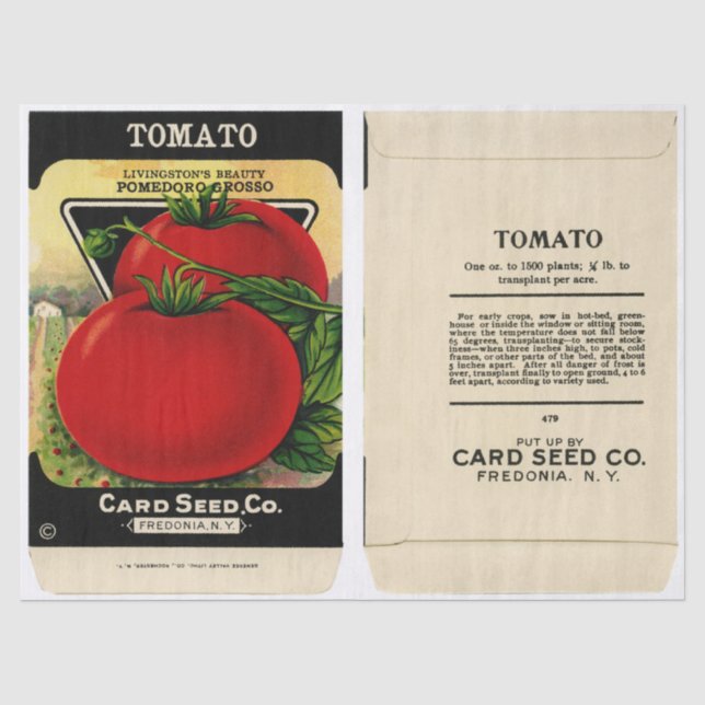 Papier Mousseline Paquet de semences vintage tomate et instructions (Recto)