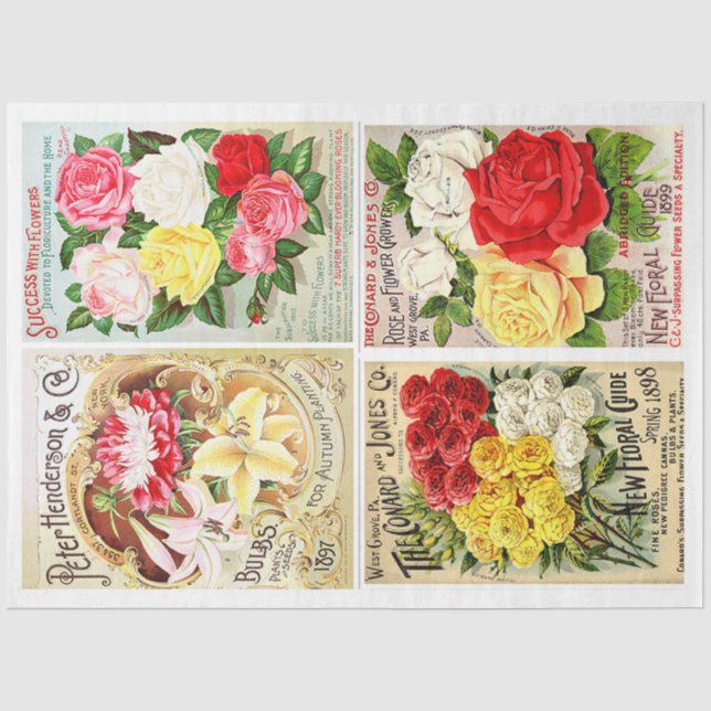 Papier Mousseline Paquets de graines de fleurs (Recto)