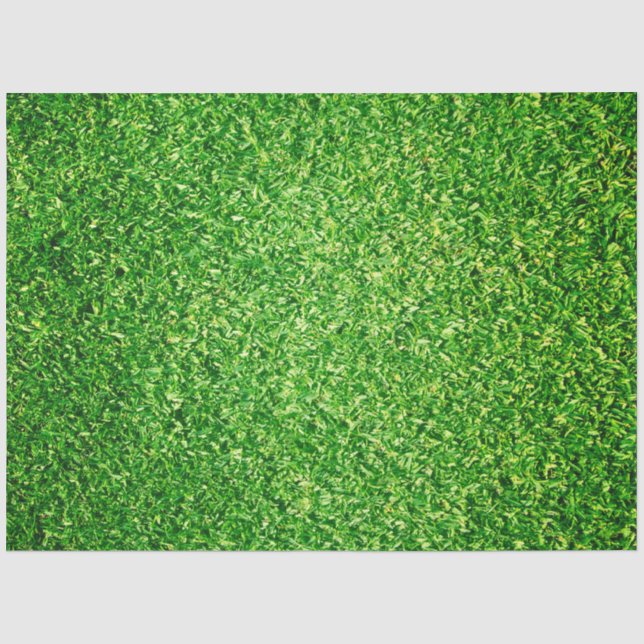 Papier Mousseline Parcours de golf arrière - plan d'herbe verte (Recto)