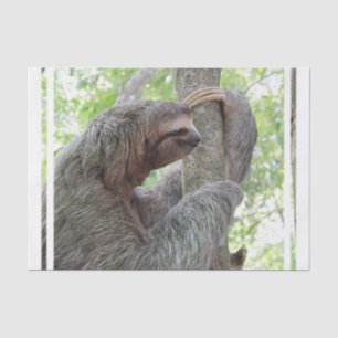 Papier Mousseline Paresse mignonne