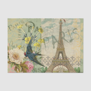 Papier Mousseline Paris France Voyage Vintage Art Antique Peinture
