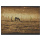 Pays Cheval Rustique Texture Vintage Découpage