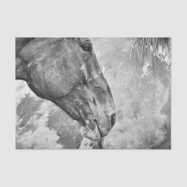 Papier Mousseline Pays du cheval Découpage rustique noir et blanc (Recto)