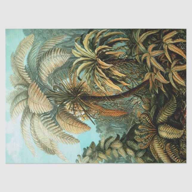 Papier Mousseline Paysage tropical avec palmier (Recto)