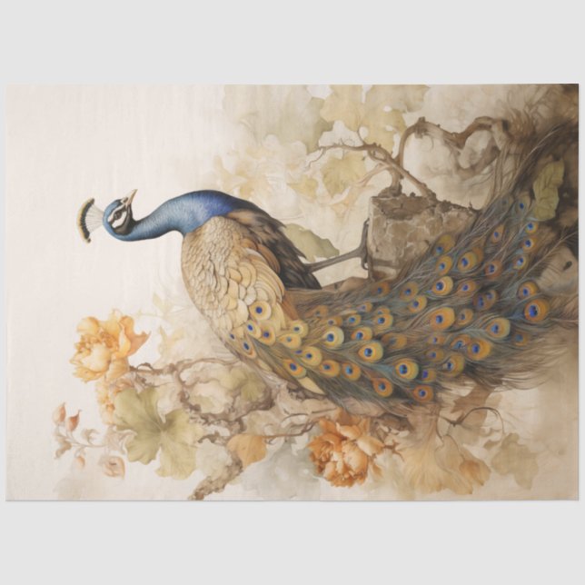 Papier Mousseline Peacock Élégant vintage (Recto)
