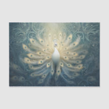 Peacock en fleur, Plumes blanches, Élégance