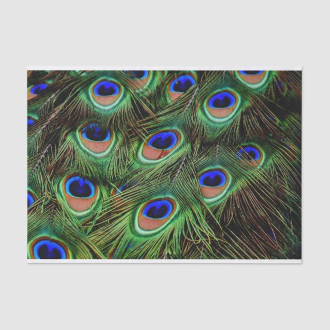 Papier Mousseline Peacock Feathers Decoupage Tissu Papier (Recto)
