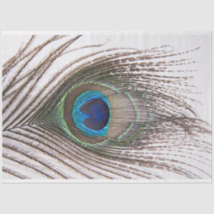 Papier Mousseline Peacock Feed 3 Decoupage Tissu Papier