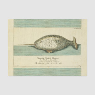 Papier Mousseline Peinture à l'aquarelle de baleine ancienne Narwhal
