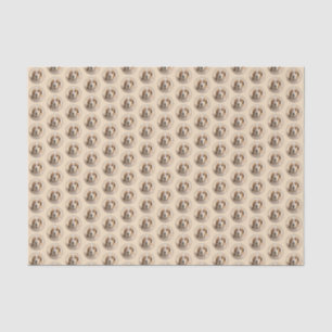 Papier Mousseline Peinture américaine anglaise sur pilon - Chien Art