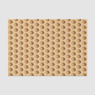 Papier Mousseline Peinture américaine Kestrel - Art original pour oi