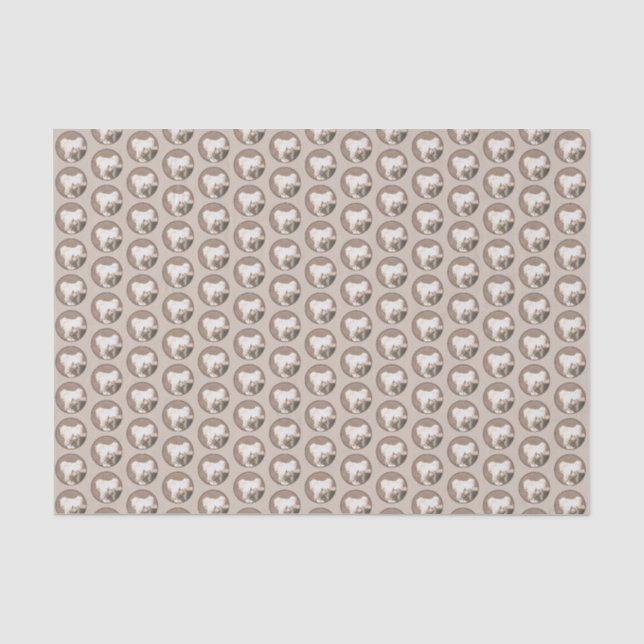 Papier Mousseline Peinture Chinoise sans cheveux peint art original  (Recto)