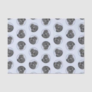 Papier Mousseline Peinture de caniche Miniature jouet animal de comp