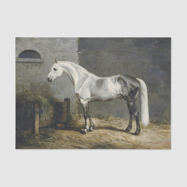 Papier Mousseline Peinture de Cheval gris pomme authentique (pas AI) (Recto)