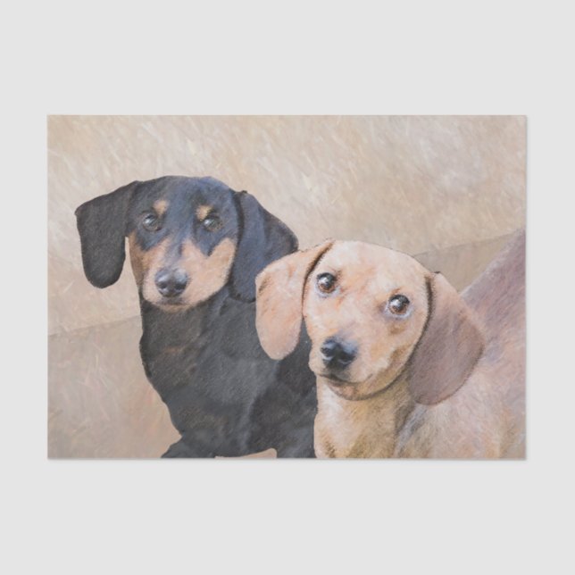 Papier Mousseline Peinture de Dachshund (Smooth) - Art original de c (Recto)