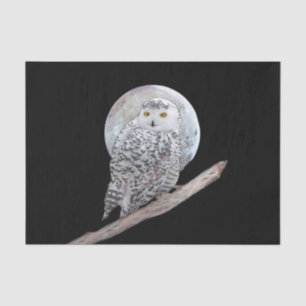 Papier Mousseline Peinture sur la Chouette des neiges et la Lune - A