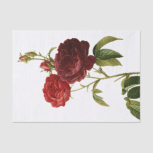 Papier Mousseline Peinture vintage rouge-foncé de roses