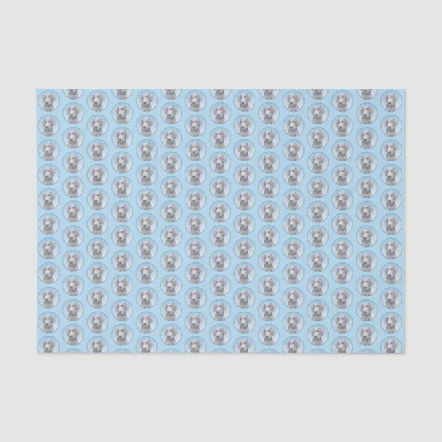 Papier Mousseline Peinture Weimaraner - Joli art original chien (Recto)