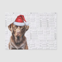 Père Noël Chocolat Lab Fête de Noël de chien