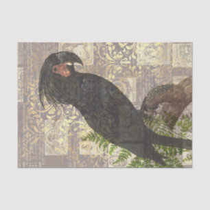 Papier Mousseline Perroquet noir vintage