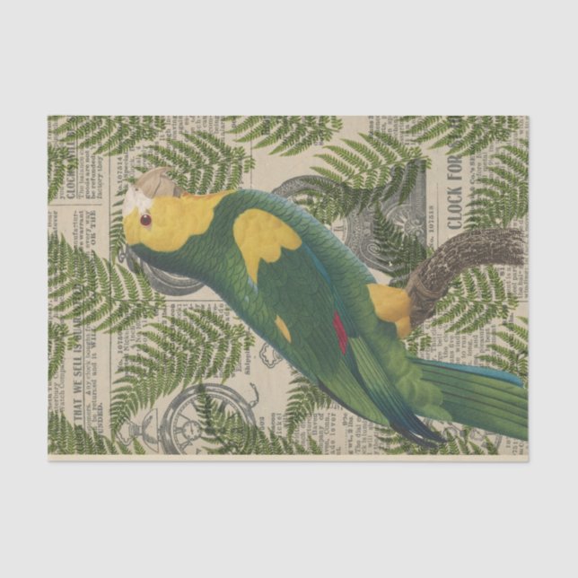 Papier Mousseline Perroquet Vert Tropical Vintage (Recto)