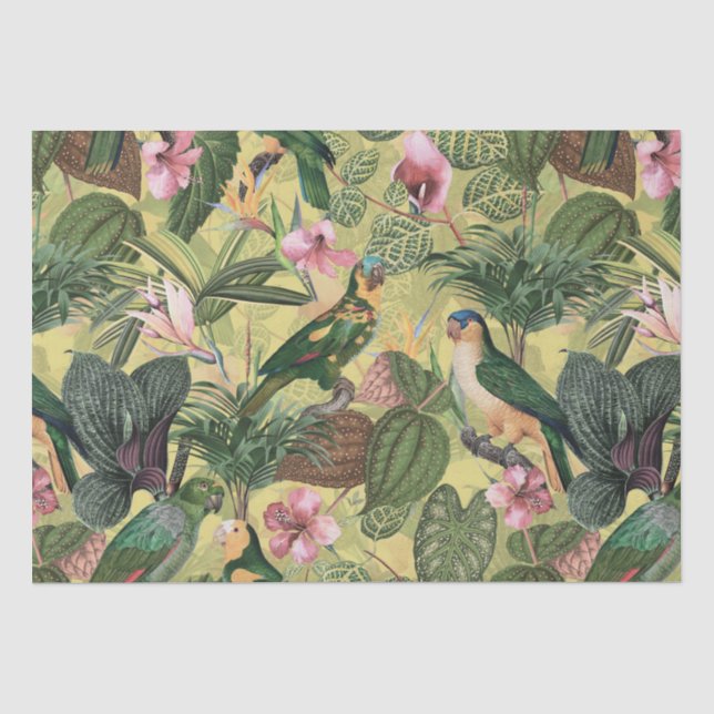 Papier Mousseline Perroquets colorés anciens Motif de la jungle trop (Recto)