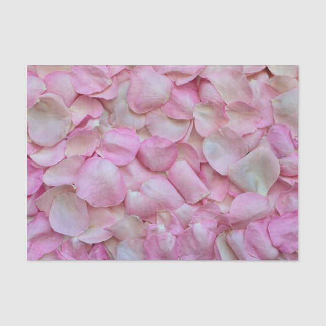 Papier Mousseline Pétales roses molles (Recto)
