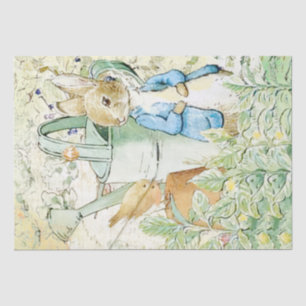 Papier Mousseline Peter Rabbit et papier de tissus d'oiseaux