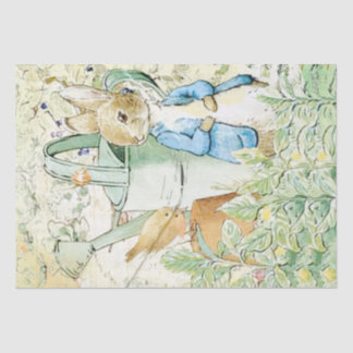 Papier Mousseline Peter Rabbit et papier de tissus d'oiseaux