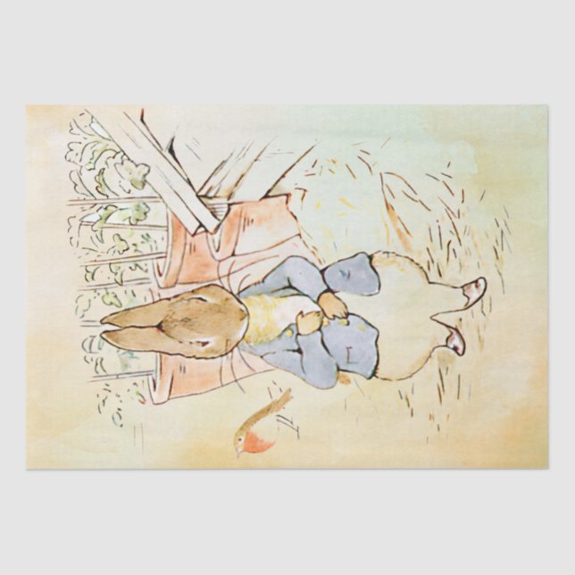 Papier Mousseline Peter Rabbit (oiseau) Tissu Papier (Recto)
