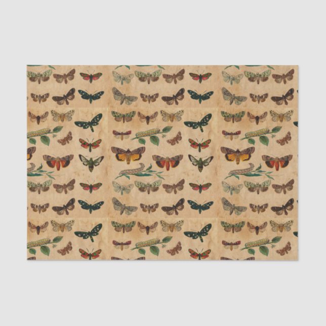 Papier Mousseline Petites papillons vintages - Découpage papier tend (Recto)