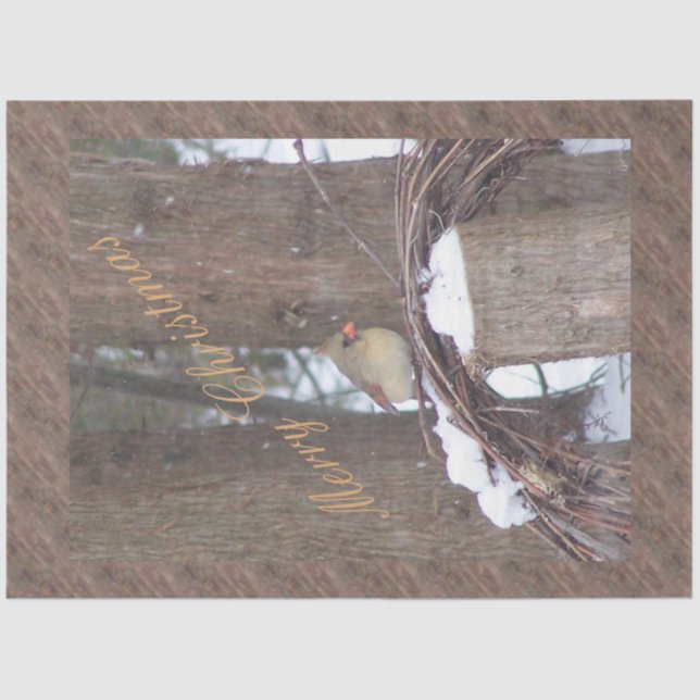Papier Mousseline Petits voeux de Noël d'oiseaux (Recto)