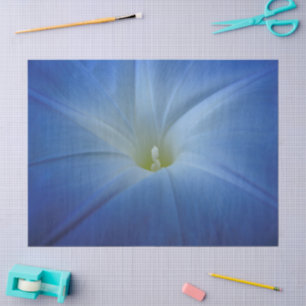 Papier Mousseline Photo bleue merveilleuse de plan rapproché de