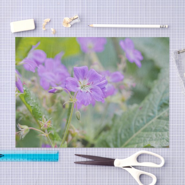 Papier Mousseline Photo botanique du Fleur sauvage de géranium viole (Artisanat)