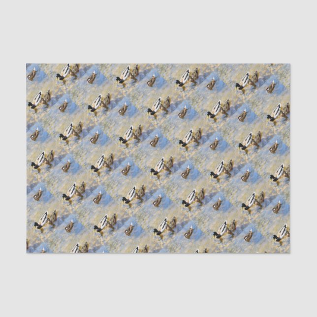 Papier Mousseline Photo Canards (Recto)