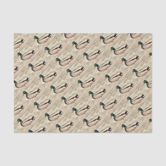 Papier Mousseline Photo de canard de Mallard (Recto)