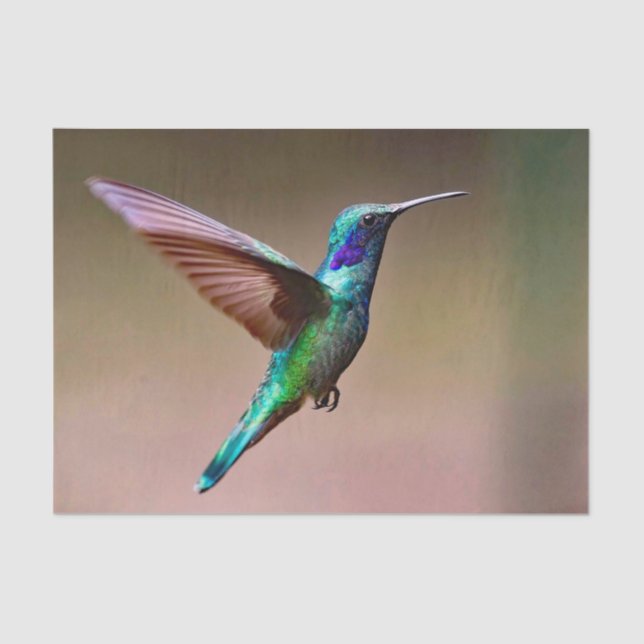 Papier Mousseline Photo de colibri vert de la faune (Recto)