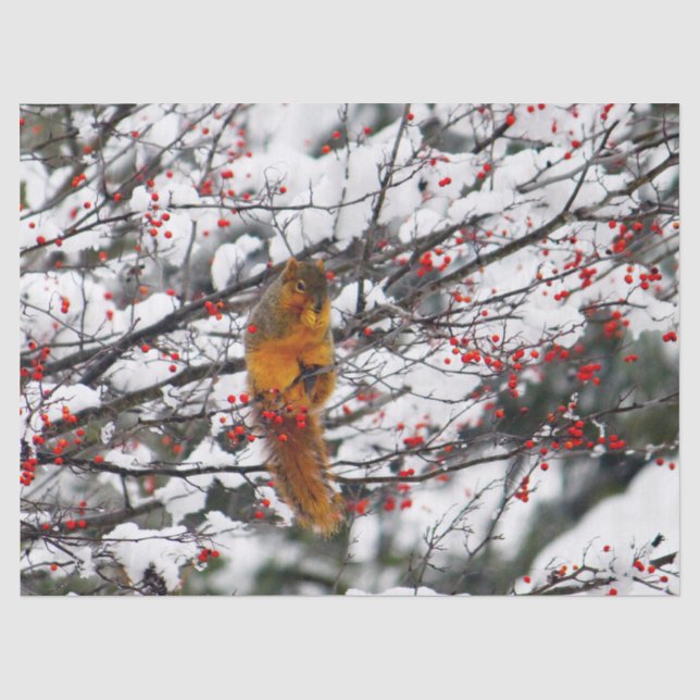 Papier Mousseline Photo de l'écureuil Red Berries Snow Tree (Recto)