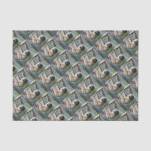 Papier Mousseline Photo de paresse