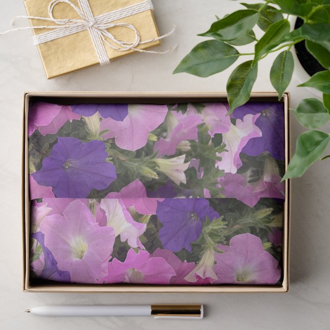 Papier Mousseline Photo Du Matin Gloire Fleurs Roses Et Violettes (Cadeau)