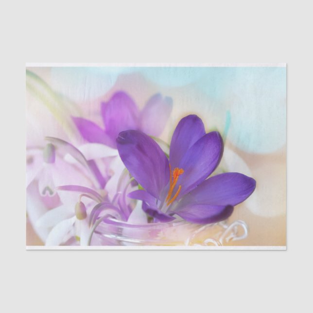 Papier Mousseline Photo d'un joli Crocus de printemps violet (Recto)