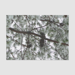Papier Mousseline Photo hivernale sous le pin couvert de neige