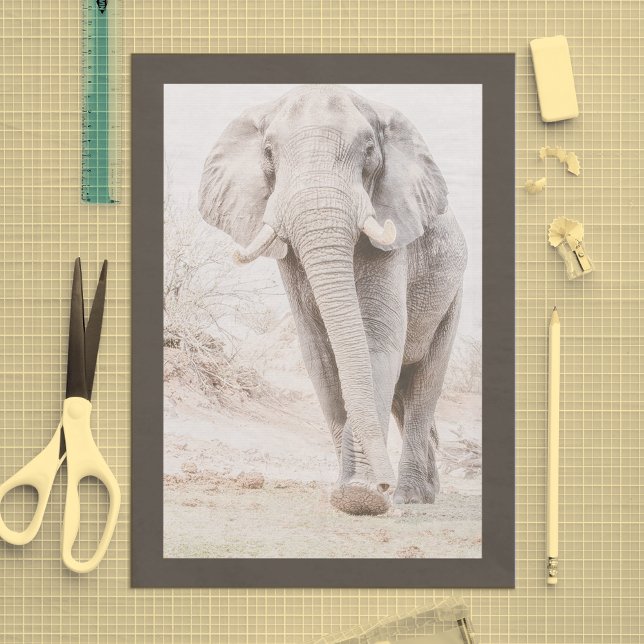 Papier Mousseline Photo majestueuse d'éléphant africain (Créateur téléchargé)