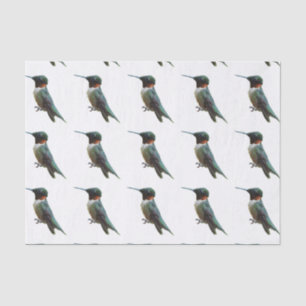 Papier Mousseline Photographie d'oiseau Colibri à gorge rubis
