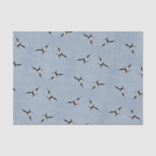 Papier Mousseline Pic Pelican - Papier Tissu