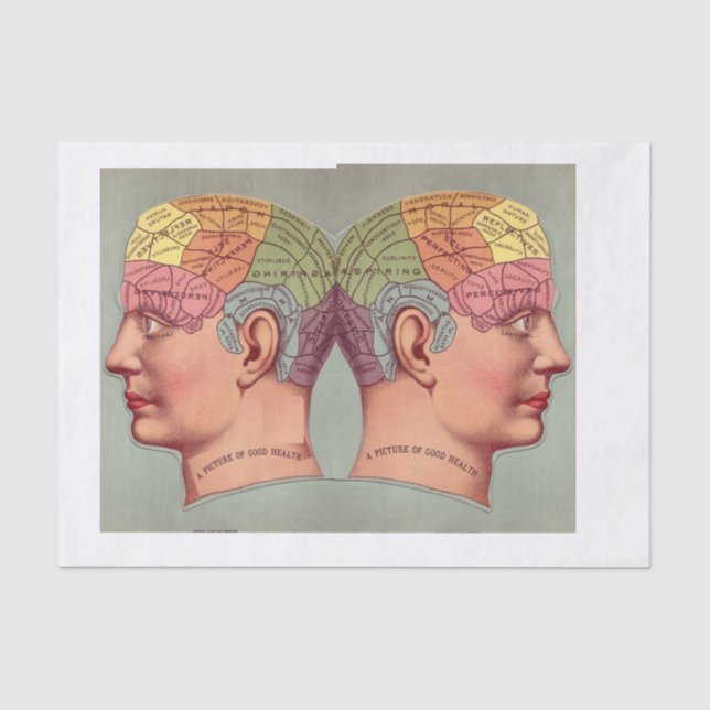 Papier Mousseline Picture of Perfect Health Vintage Anatomy (Recto)