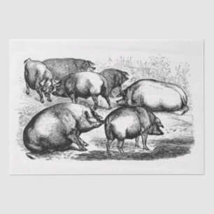 Papier Mousseline Pigs Ephemera Decoupage Ferme Vintage
